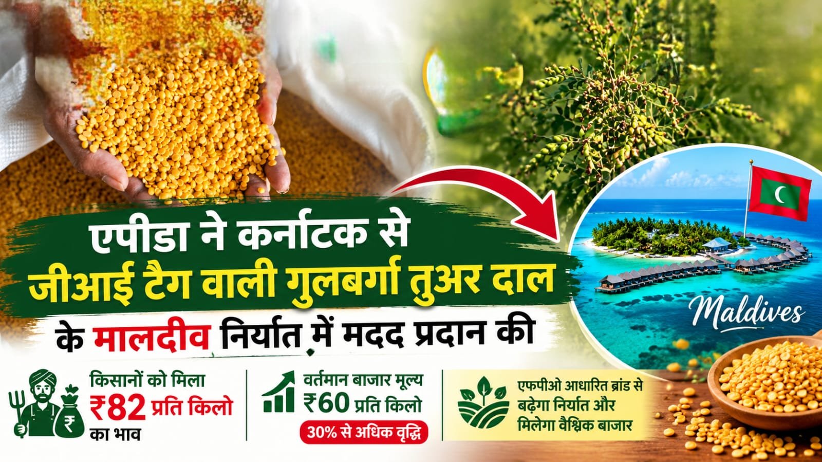 मालदीव पहुंची गुलबर्गा तुअर दाल, किसानों की बढ़ी कमाई!