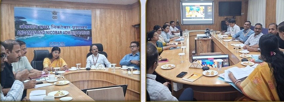 सूअरों में फैली बीमारी पर केंद्र सक्रिय, रोकथाम तेज!