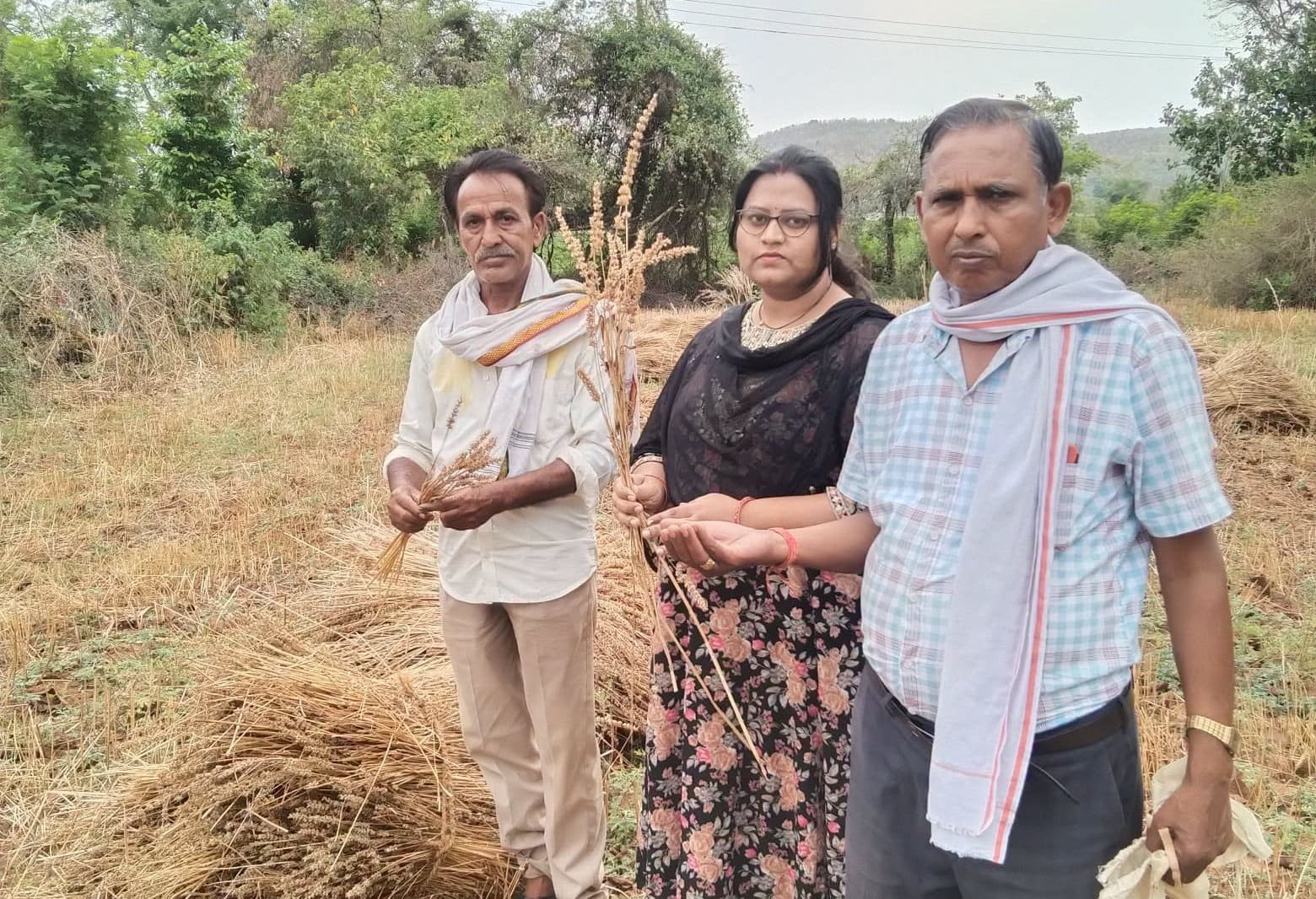 प्राकृतिक खेती से चिया सीड्स उगा रहे किसान!