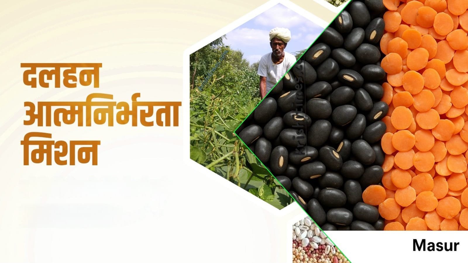 दलहन में आत्मनिर्भरता मिशन: 2030-31 तक 350 लाख टन उत्पादन का लक्ष्य!
